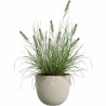 Vaso Elho Sereh Round 40 Beige 39 x 33 cm