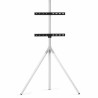 Supporto TV One For All WM7462 32" 65" 30 Kg