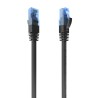 Cavo di Rete Rigido UTP Categoria 6 Aisens A135-0852 Nero Multicolore 20 m