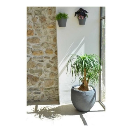 Vaso EDA Graphit Rotonda Plastica Grigio scuro (Ø 50 x 45 cm)