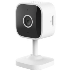 Videocamera di Sorveglianza Trust