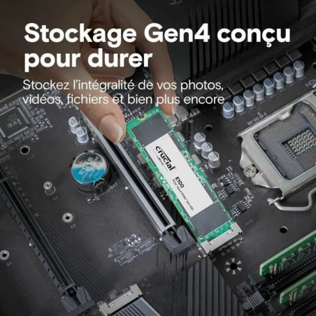 Hard Disk Crucial 480 GB SSD