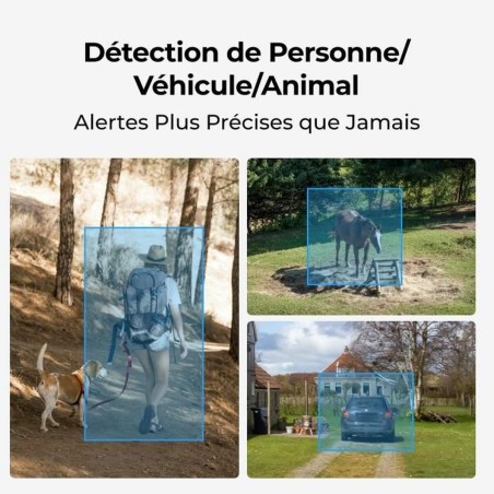 Videocamera di Sorveglianza Reolink