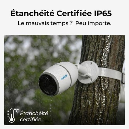 Videocamera di Sorveglianza Reolink