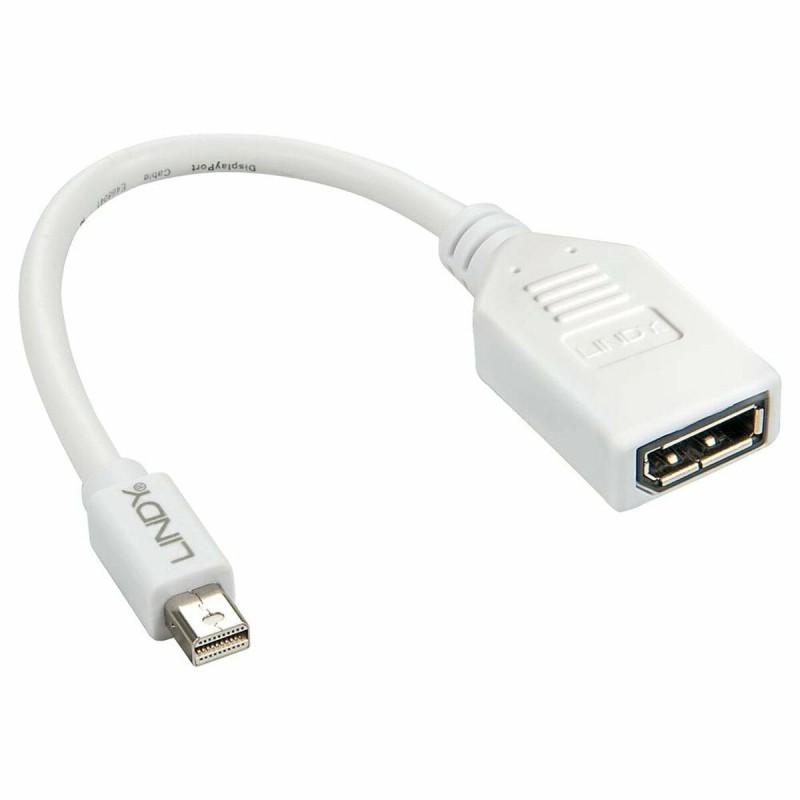 Adattatore Mini DisplayPort con DisplayPort LINDY 41021 Bianco Adattatore Mini DisplayPort con DisplayPort LINDY 41021 Bianco