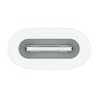 Tavolette grafiche e penne Apple MWML3ZM/A