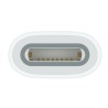 Tavolette grafiche e penne Apple MWML3ZM/A