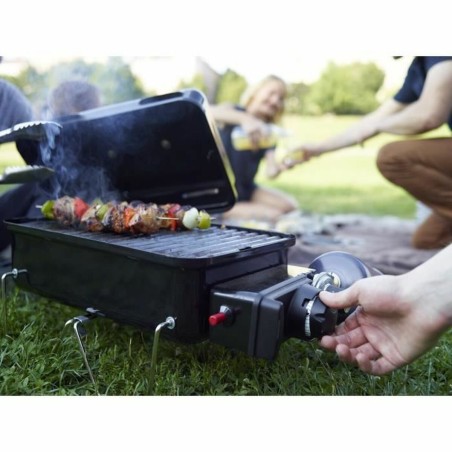 Barbecue Weber Go-anywhere Acciaio Smaltato