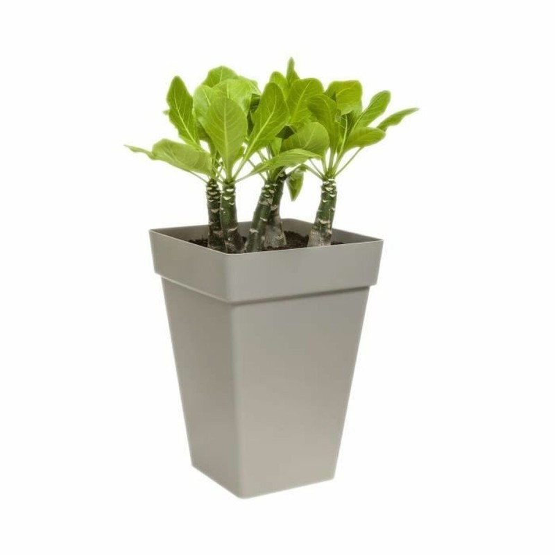 Vaso Elho Ø 29,5 cm Bianco polipropilene Plastica Quadrato Moderno Vaso Elho Ø 29,5 cm Bianco polipropilene Plastica Quadrato Moderno