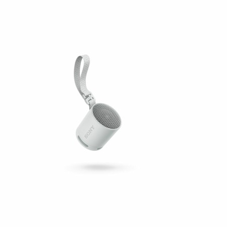 Altoparlante Bluetooth Portatile Sony SRSXB100H.CE7 Grigio