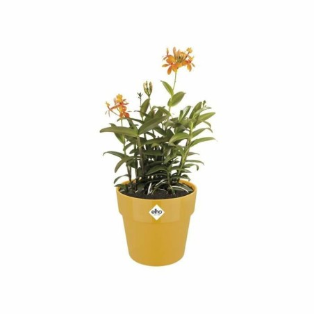 Vaso Elho 9262302511800 Ocra Plastica Rotondo Ø 24,7 x 23,2 cm