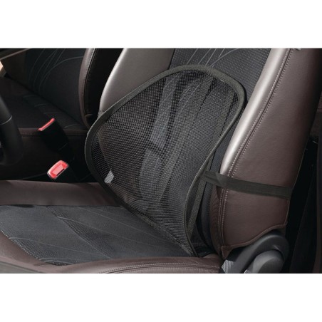 Supporto lombare Lifetime 40 x 38 x 15 cm