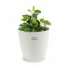 Vaso Stefanplast Bianco Plastica 29 x 27 x 29 cm (6 Unità)