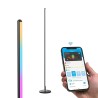 Lampada da Terra Govee LED Floor Lamp Nero Multicolore 24 V (1 Pezzi)