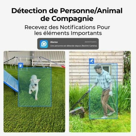 Videocamera di Sorveglianza Reolink E330