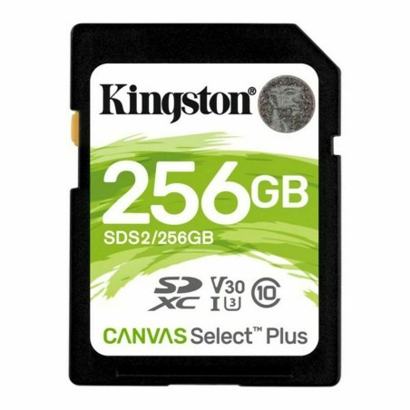 Scheda Di Memoria SD Kingston Canvas Select Plus 256 GB