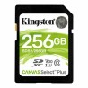 Scheda Di Memoria SD Kingston Canvas Select Plus 256 GB