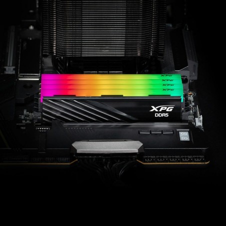 Memoria RAM Adata AX5U6000C3016G-DTLABRBK 32 GB DDR5 6000 MHz cl30