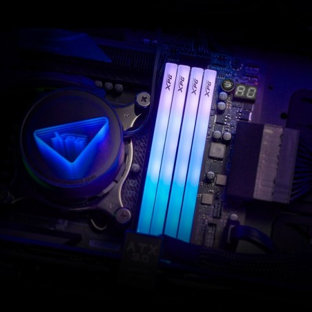 Memoria RAM Adata AX5U6000C3016G-DTLABRBK 32 GB DDR5 6000 MHz cl30