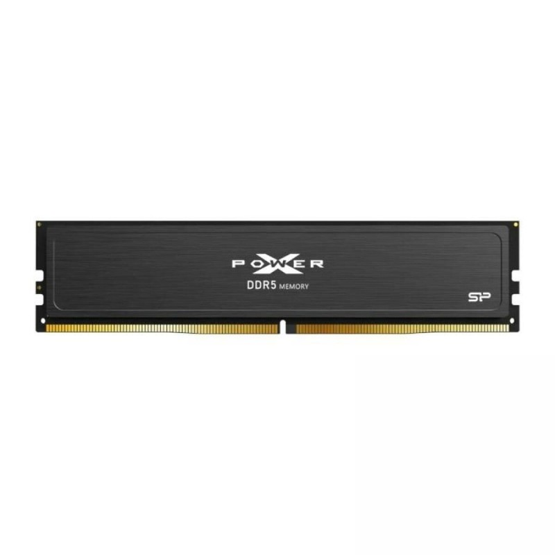 Memoria RAM Silicon Power SP064GXLWU560FDJ Memoria RAM Silicon Power SP064GXLWU560FDJ