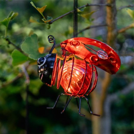 Decorazione luminosa Galix Coccinella