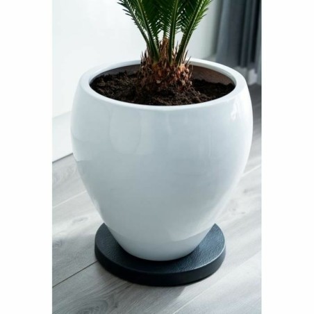 Supporto con Ruote per Vasi Nature Nero polipropilene (Ø 29,2 x 4 cm)