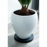 Supporto con Ruote per Vasi Nature Nero polipropilene (Ø 29,2 x 4 cm)