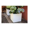 Vaso EDA Bianco Plastica 5 cm
