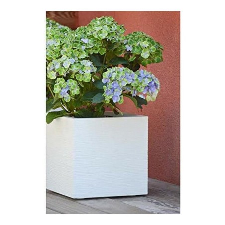 Vaso EDA Bianco Plastica 5 cm
