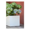 Vaso EDA Bianco Plastica 5 cm
