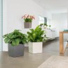 Vaso Autoirrigante Lechuza Bianco 50 x 50 cm polipropilene Plastica