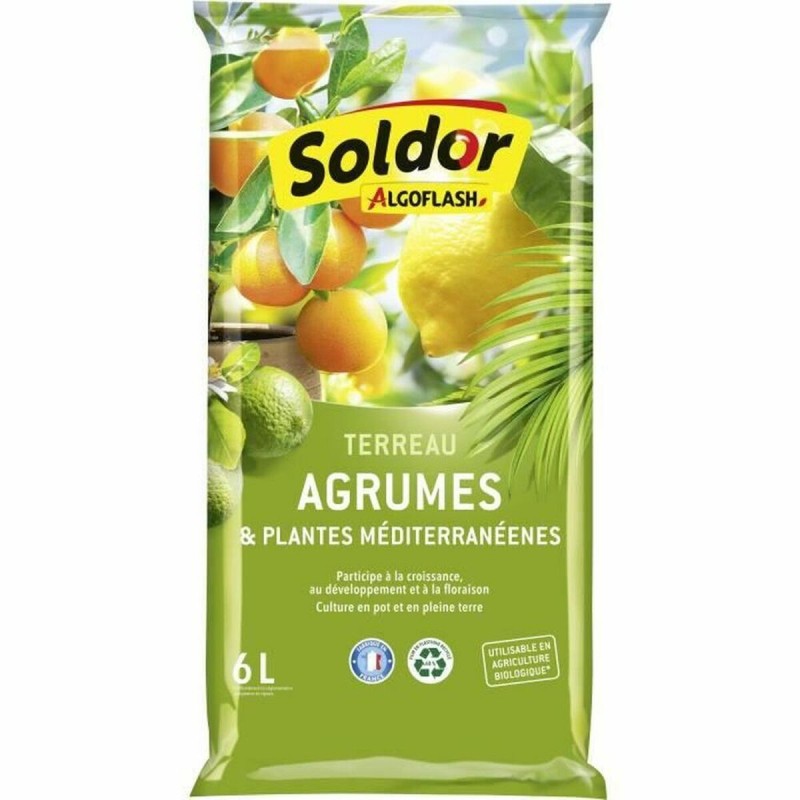 Terriccio Algoflash TAGRUM6 Agrumi Mediterraneo 6 L Terriccio Algoflash TAGRUM6 Agrumi Mediterraneo 6 L