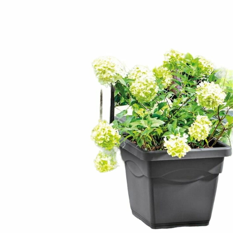 Vaso Deroma Quadrato Antracite Iniettato Ø 38 cm Vaso Deroma Quadrato Antracite Iniettato Ø 38 cm