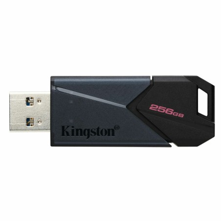 Memoria USB Kingston DTXON/256GB Nero 256 GB