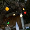 Ghirlanda di Luci LED Lumisky Multicolore