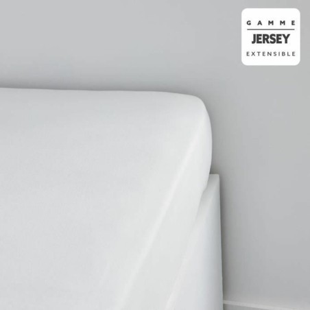 Lenzuolo con angoli aderenti TODAY Jersey 160 x 190 cm Bianco