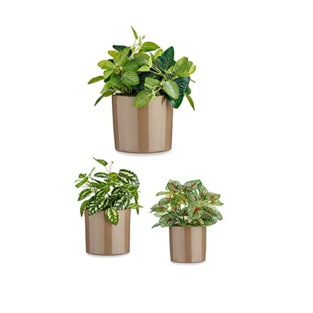 Set di Vasi Ibergarden CILINDRO-7006 Taupé Argilla Cilindro Ø 14 cm Ø 22 cm Ø 17 cm 3 Pezzi