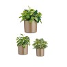 Set di Vasi Ibergarden CILINDRO-7006 Taupé Argilla Cilindro Ø 14 cm Ø 22 cm Ø 17 cm 3 Pezzi
