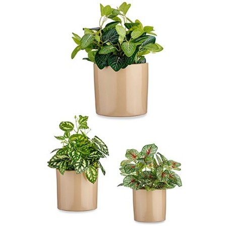 Set di Vasi Ibergarden CILINDRO-1019 Beige Argilla Cilindro Ø 14 cm Ø 22 cm Ø 17 cm 3 Pezzi