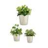 Set di Vasi Ibergarden CONICO-7044 Grigio Argilla Cónica Ø 14 cm Ø 22 cm Ø 17 cm 3 Pezzi