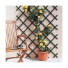 Griglia Nortene Trelliflex 1 x 2 m Verde PVC