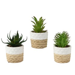Vaso Everlands Plastica