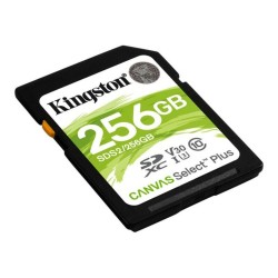 Scheda Di Memoria SD Kingston Canvas Select Plus 256 GB