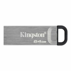 Memoria USB Kingston DTKN/64GB Argentato 64 GB