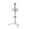 Supporto TV Neomounts AFLS-825BL1 9 kg