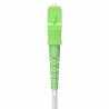 Cavo fibra ottica Aisens G657A2 60 m