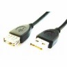 Cavo Prolunga USB GEMBIRD CCP-USB2-AMAF-10 Nero 3 m