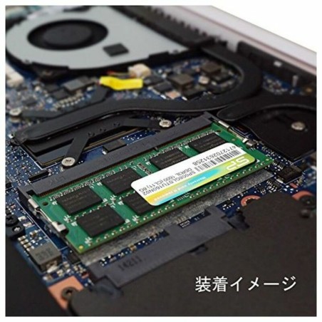 Memoria RAM Silicon Power PAMSLPSOO0022 8 GB 1600 MHz DDR3-PC3-12800 8 GB 1600 mHz CL11 DDR3L