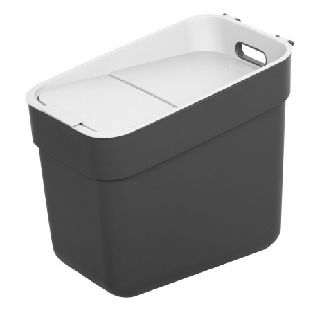 Secchio della spazzatura Curver Grigio Plastica 20 L (6 Unità)