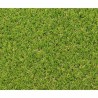 Prato artificiale Exelgreen Campus 2D 1 x 5 m 25 mm